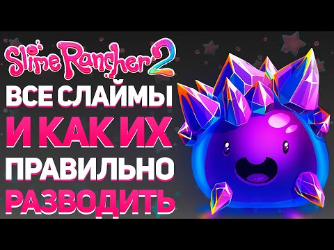 Видео: SLIME RANCHER 2: ВСЕ СЛАЙМЫ И ЧТО ТЫ ДОЛЖЕН О НИХ ЗНАТЬ