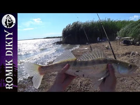 Видео: Летняя рыбалка. Михайловское озеро. Одиночный выезд.