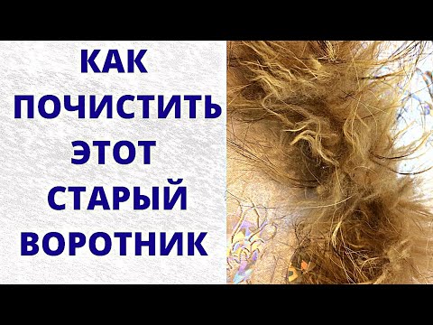 Видео: Чем почистить  шубу из чернобурки енота лисы песца самостоятельно