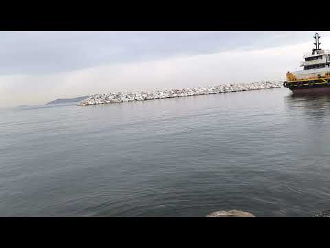 Видео: ИСТАНБУЛ 6.09.2025 й.МАРМАРА ДЕНГИЗ 150м.ОЛДИНГА СУЗИШ,150м.ОРКАГА СУЗИШ жами 300м,БУРХОН МАНСУРОВ