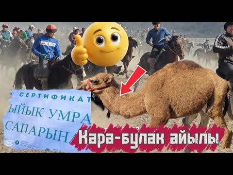 Видео: Кара-булактагы аштын улагы
