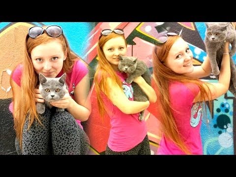 Видео: VLOG: ПУМА НА ПРОГУЛКЕ