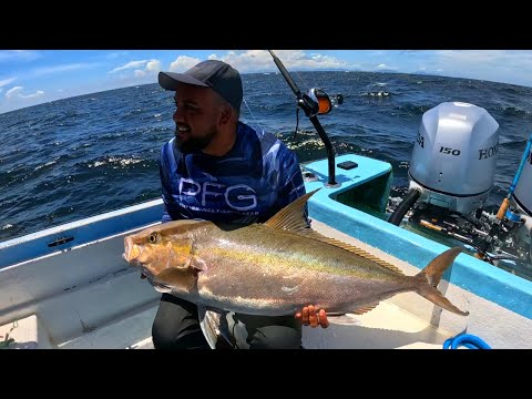 Видео: Ловля монстров — глубоководная рыбалка в 25 милях от берега — на глубине 500 футов на нефтяной пл...