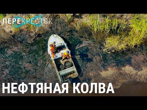 Видео: На берегу нефтеносной реки | ПЕРЕКРЁСТОК