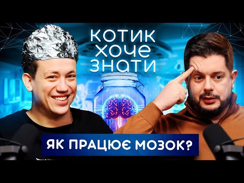 Видео: Чим пахне людський мозок? | КОТИК ХОЧЕ ЗНАТИ #4