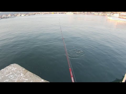 Видео: Риболов на илария!