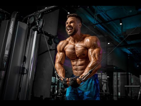 Видео: Как тренироваться новичку в зале? Часть 2.