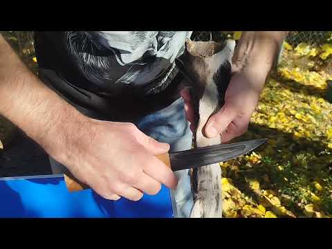 Видео: Нож для жизни в тайге