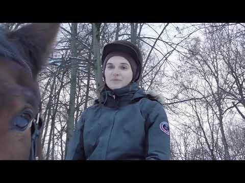 Видео: Упражнения для глубокой посадки. Верховая езда. Посадка всадника.
