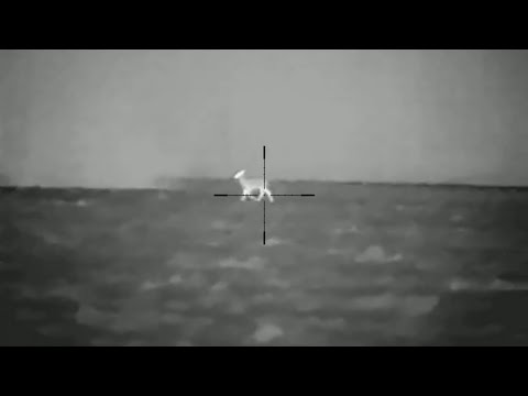 Видео: 🔞Самый дешевый теплоприцел? Это вообще законно? ❌ Сравнение новинок от компании Arkon и Sytong!