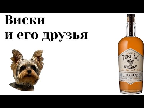 Видео: Дегустация Teeling Single Grain