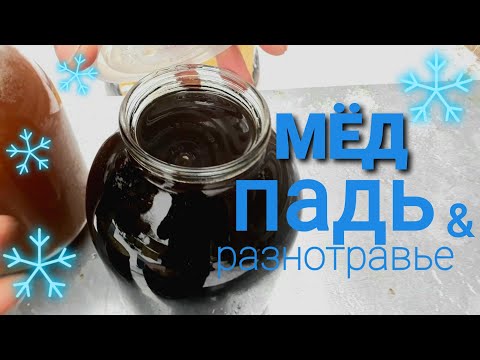 Видео: ЕЛОВО - СОСНОВЫЙ падевый мёд 😁