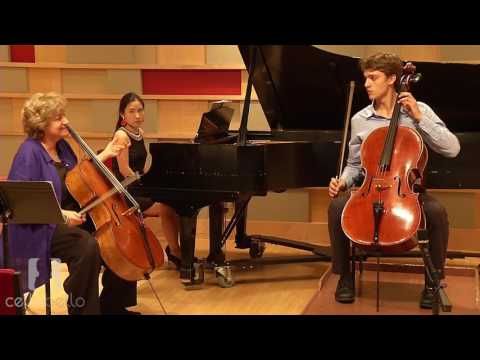 Видео: Мастер-класс Марси Розен: Концерт Дворжака, Mvt. 1