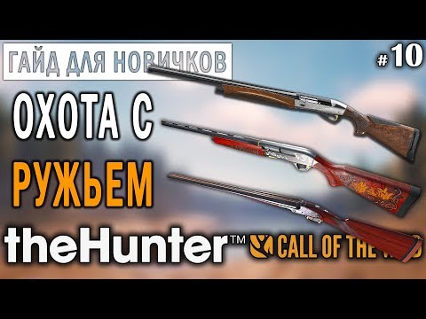 Видео: theHunter Call of the Wild #10 🔫 - Охота с Ружьем - ГАЙД для Начинающих