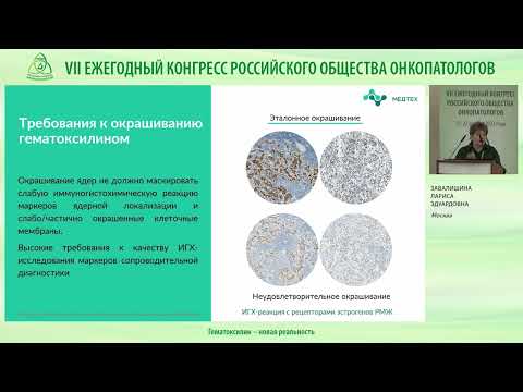 Видео: Гематоксилин – новая реальность
