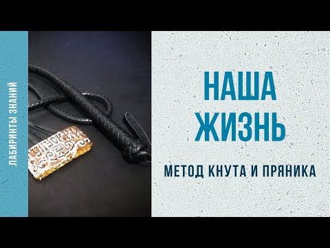 Видео: Метод кнута и пряника - Лабиринты Знаний