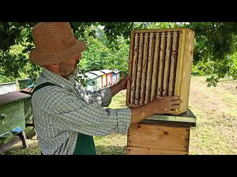 Видео: Вдалий сезон в зоні слабкого взятку.(21.08.2021р.)