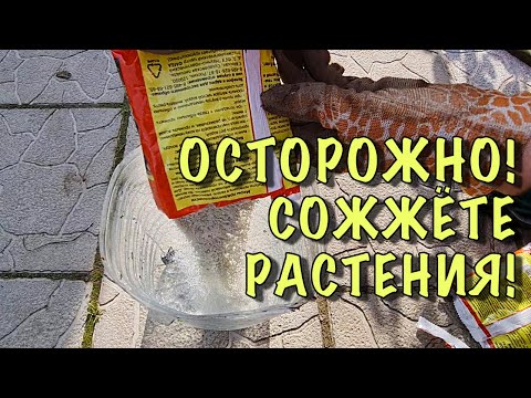 Видео: САМАЯ ВАЖНАЯ ОСЕННЯЯ ОБРАБОТКА! ВСЁ про ЖЕЛЕЗНЫЙ КУПОРОС и ЧЕМ ЕЩЁ обработать САД и ОГОРОД осенью