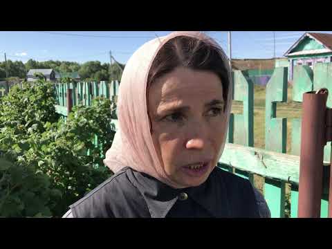 Видео: Огород научит молиться не хуже монастыря