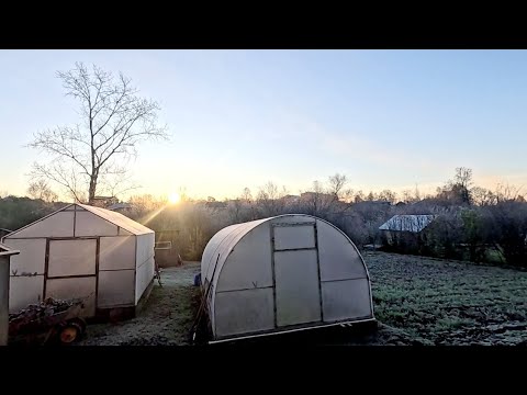 Видео: Дураками же родятся... Почему я это не сделала, теперь расплачиваюсь.. 