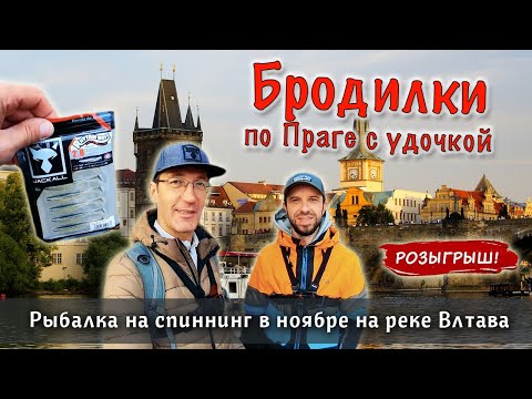 Видео: СТРИТФИШИНГ в Праге - прогулка по городу со спиннингом | Чешская рыболовная лицензия и окуни на джиг