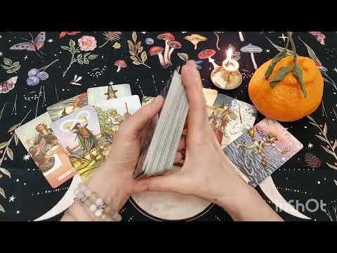 Видео: Отчаявшийся бывший.