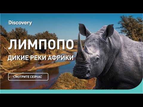 Видео: Лимпопо | Дикие реки Африки | Discovery