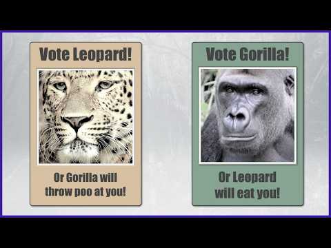 Видео: Система голосования, которая позволяет проигравшим победить