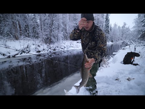 Видео: Крупный хариус на таёжной речке, опять наловил монстров. Забрал лодку. Ходовая рыбалка.