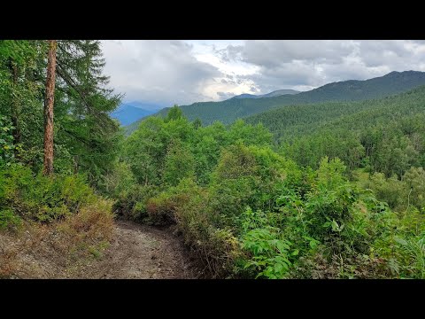 Видео: К Белухе. День десятый. Драматичный