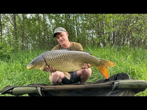 Видео: Ловля карпа на дикаре с корабликом