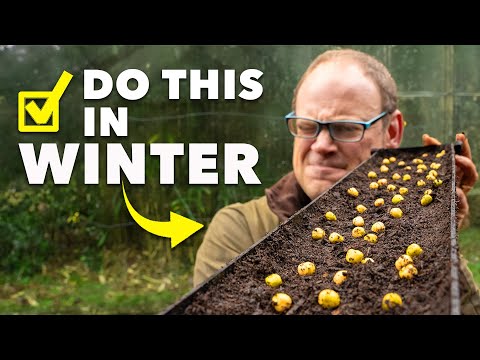 Видео: Контрольный список для сада: 10 задач, которые помогут вашему саду начать работу зимой