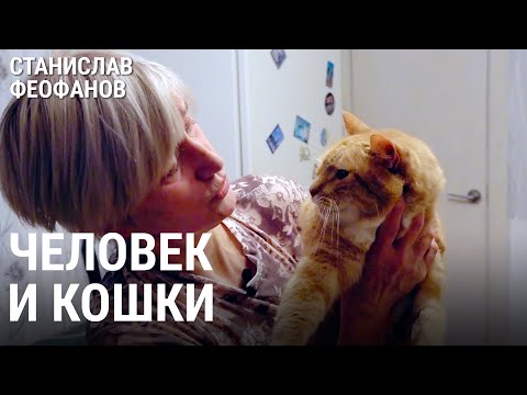 Видео: Котошеф Зеленоградска | @stanislavfeofanov