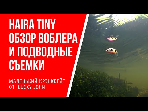 Видео: Воблер Lucky John Haira Tiny: опыт использования крэнкбейта и подводные съемки