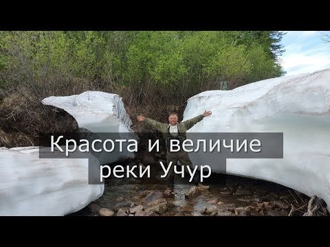 Видео: Шесть рек Якутии. Красота и величие реки Учур.
