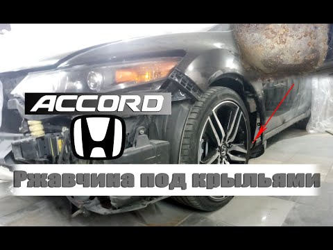 Видео: Ржавчина под крыльями | Honda Accord 8