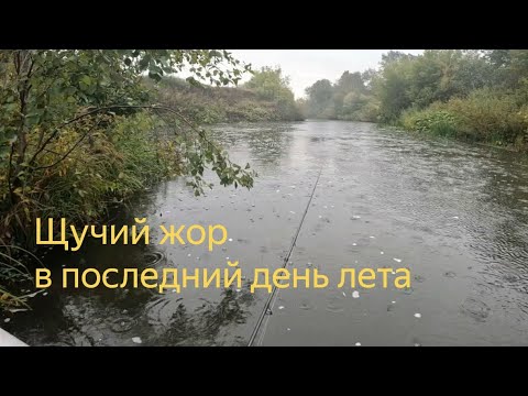 Видео: ОСОБЕННОСТИ ЛОВЛИ ЩУКИ ПО ЧИСТОЙ ВОДЕ. Поклевки лишь на одну приманку.