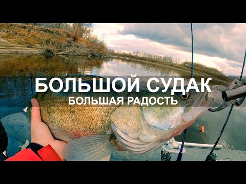 Видео: Здоровый СУДАК НЕ ВХОДИТ в ПОДСАК! Ловля большого судака и щуки на джиг. Рыбалка в Тюмени 2020.