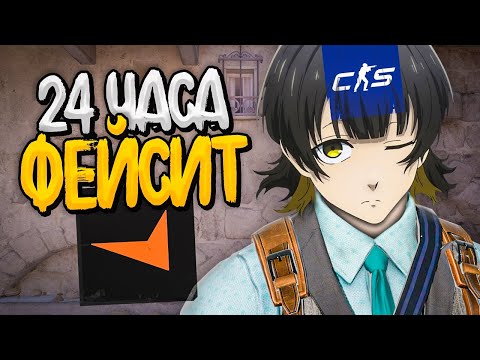 Видео: КАКОЙ LVL Я АПНУ СОЛО ЗА 24 ЧАСА НА FACEIT В CS2