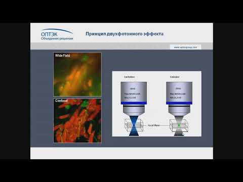 Видео: Вебинар «Мультифотонная микроскопия ZEISS в биоимиджинге», часть 1
