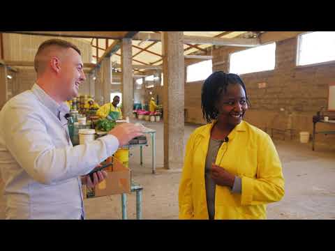 Видео: МЫ В КЕНИИ 🇰🇪. Плантация Harvest Flowers