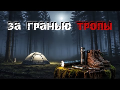 Видео: Топ 3 захватывающих Лесных историй • Выпуск «ЛЕСНОЙ УЖАС»