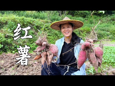 Видео: Можно ли есть сладкий картофель таким образом? Хрустящий снаружи и мягкий внутри.