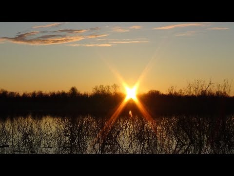 Видео: Рыбалка сетями,завершение по чёрной рыбе.