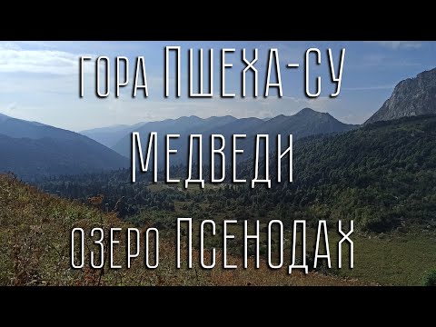 Видео: Поход на приют Фишт. Пшеха-Су. Медведи. Озеро Псенодах.