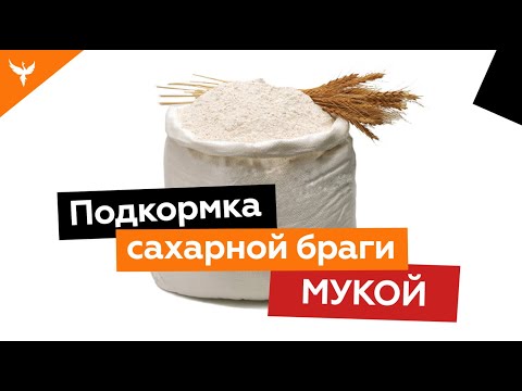 Видео: Подкормка сахарной браги мукой