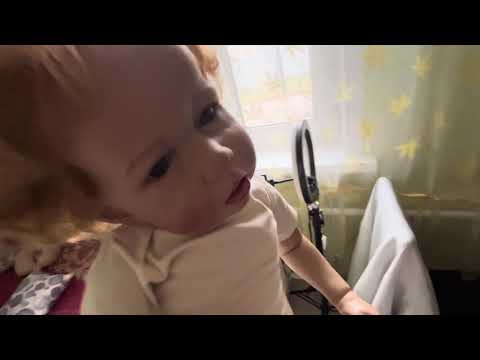 Видео: 29 октября 2025 г.