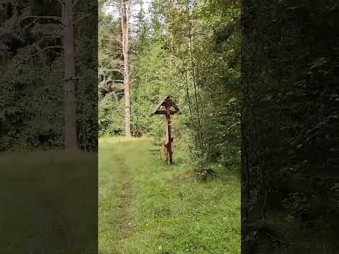 Видео: Ещё один прекрасный день!!!!!