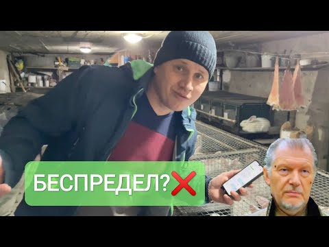 Видео: БОЛЮЧА ТЕМА - ШКІРА КРОЛИКА! БАРИГИ, КИДАЛОВО, НЕ ПО ЛЮДСЬКИ! 