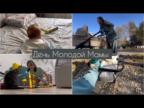 Видео: День Молодой Мамы: быт | против ГВ? |